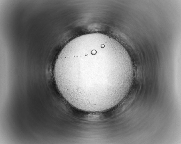 X0000093520418200711021049