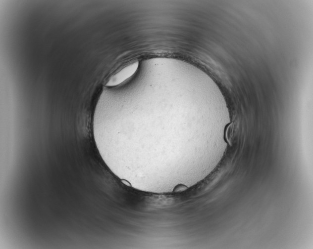 X0000093520421200711021049