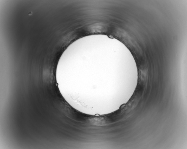 X0000093520422200711021049