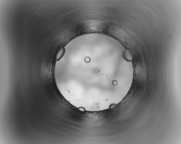 X0000093520423200711021049