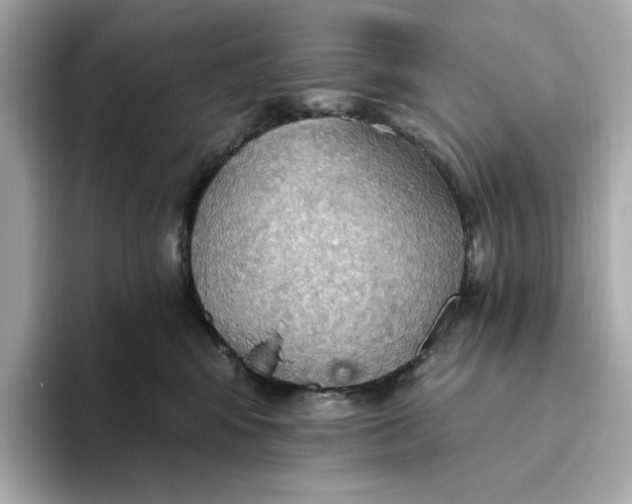 X0000093520424200711021049