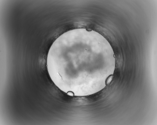 X0000093520427200711021049