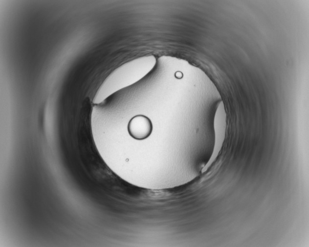 X0000093520429200711021049