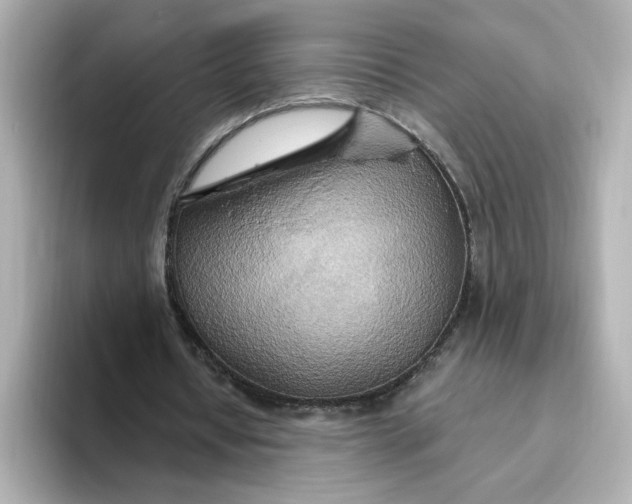 X0000093520434200711021049