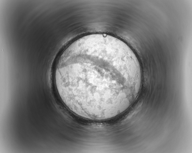 X0000093520439200711021049