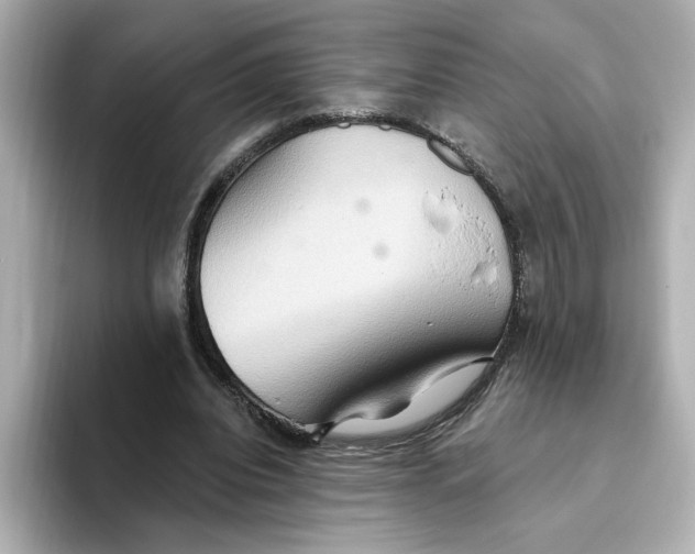 X0000093520440200711021049