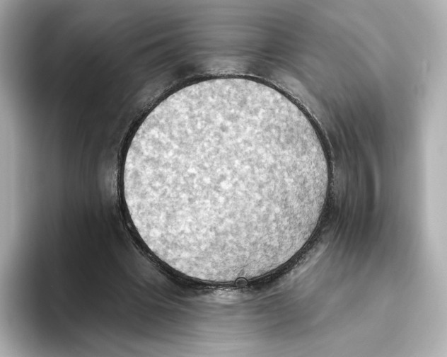 X0000093520441200711021049