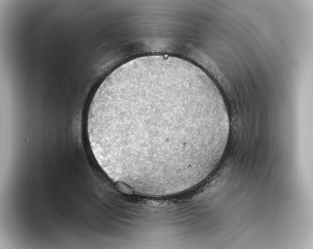 X0000093520442200711021049