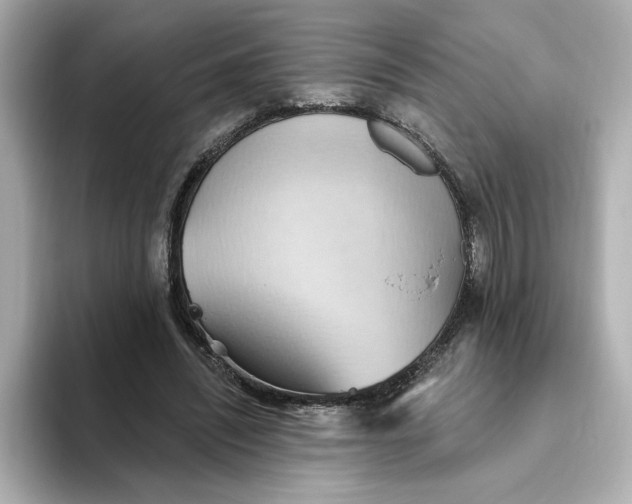 X0000093520444200711021049