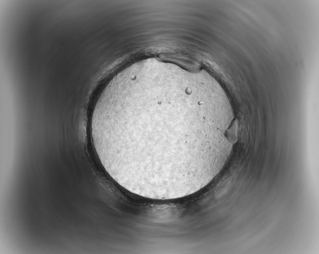 X0000093520446200711021049