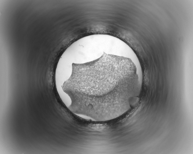 X0000093520449200711021049