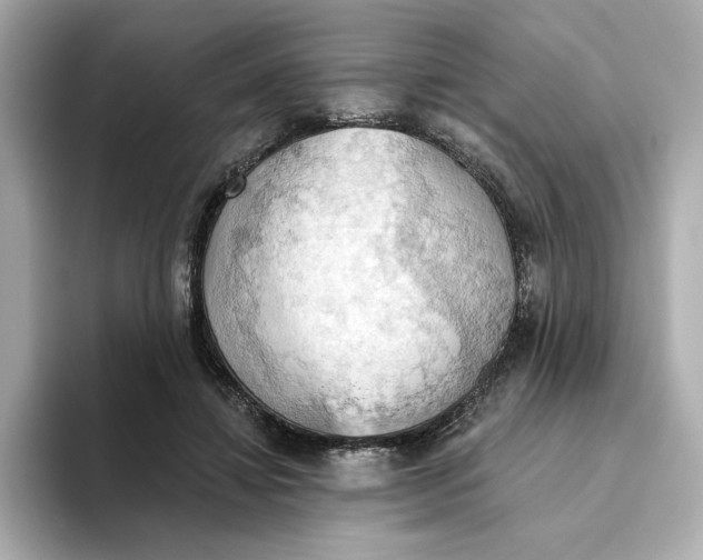 X0000093520452200711021049