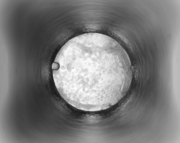 X0000093520455200711021049