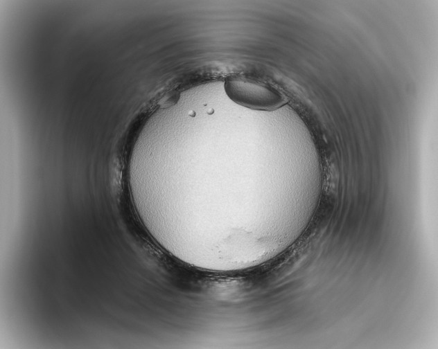 X0000093520456200711021049