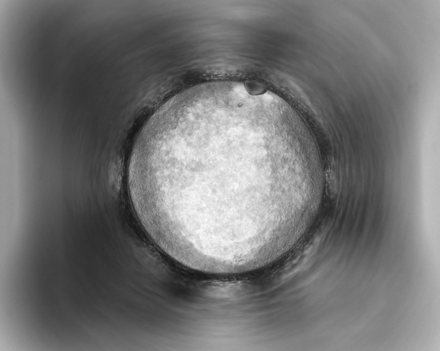 X0000093520458200711021049