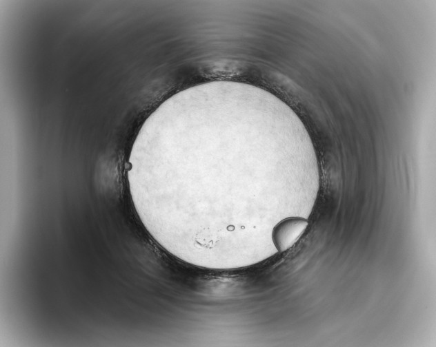 X0000093520460200711021049