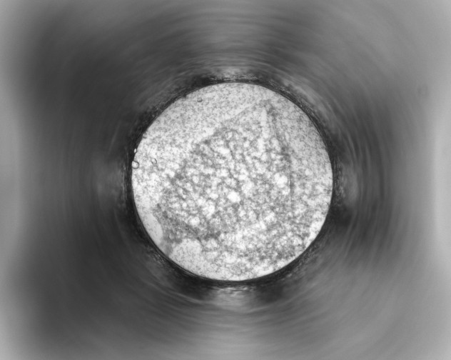 X0000093520461200711021049