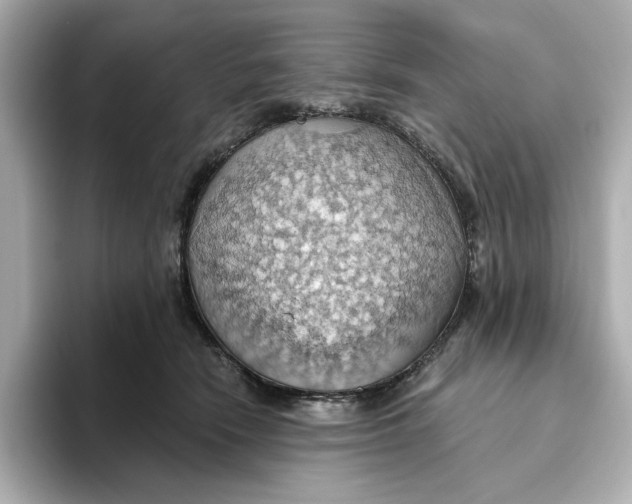 X0000093520466200711021049