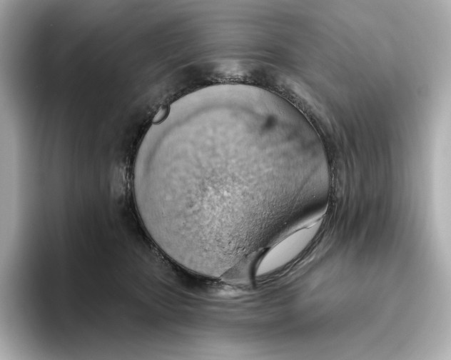 X0000093520467200711021049