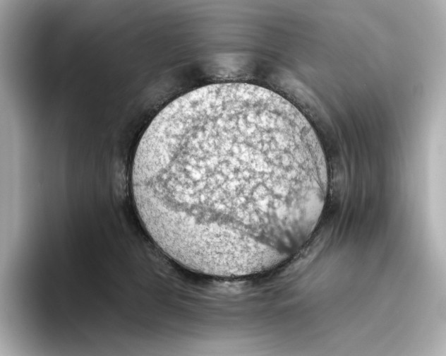 X0000093520469200711021049