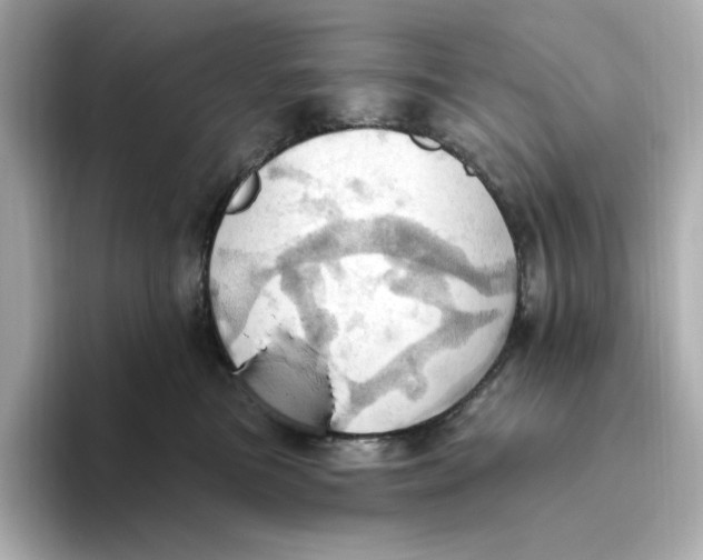 X0000093520473200711021049