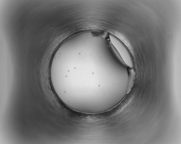 X0000093520481200711021049