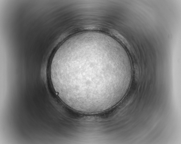 X0000093520482200711021049