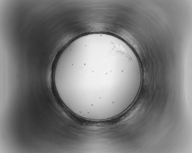 X0000093520485200711021049