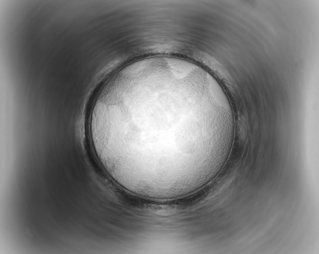 X0000093520486200711021049