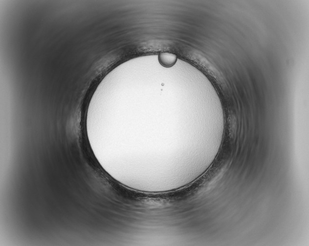 X0000093520490200711021049