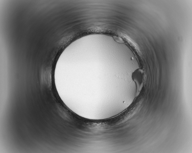 X0000093520493200711021049