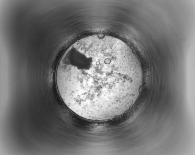 X0000093520495200711021048