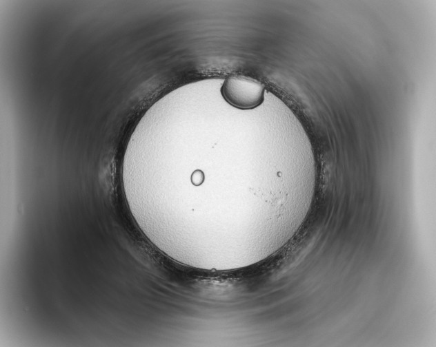 X0000093520498200711021048