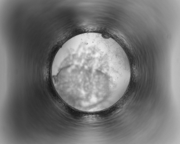 X0000093520499200711021048