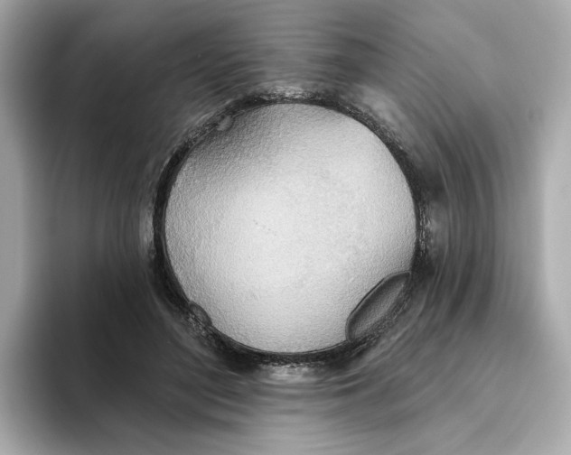 X0000093520500200711021048