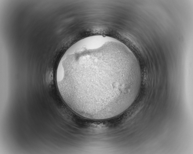 X0000093520502200711021048