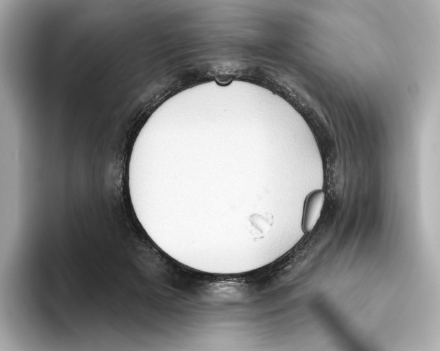 X0000093520505200711021048