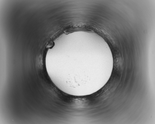 X0000093520508200711021048