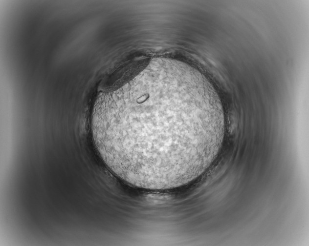 X0000093520515200711021048