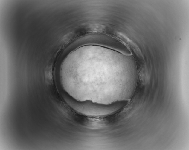 X0000093520516200711021048