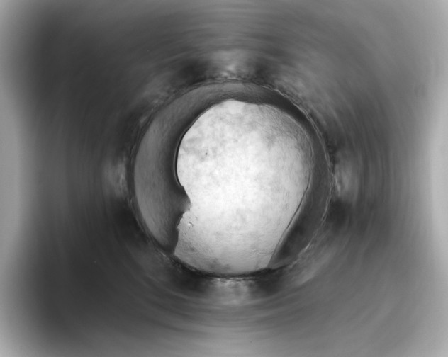 X0000093520520200711021048