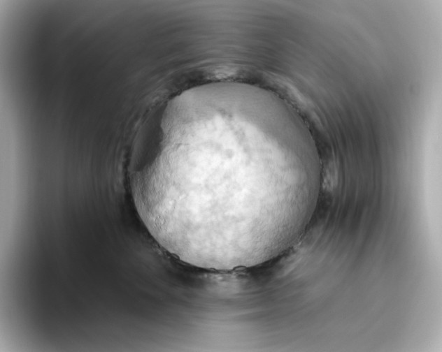 X0000093520524200711021048