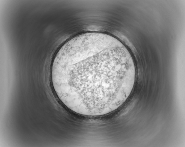 X0000093520529200711021048