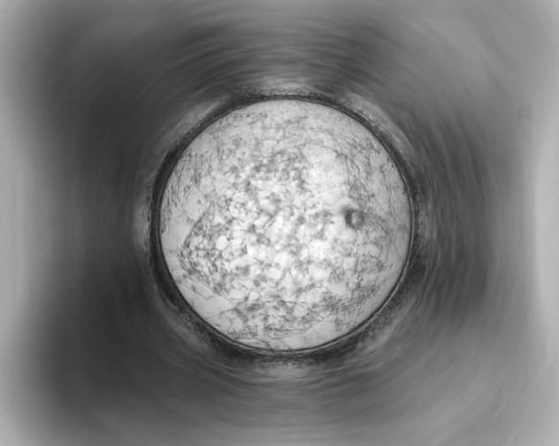 X0000093520533200711021048