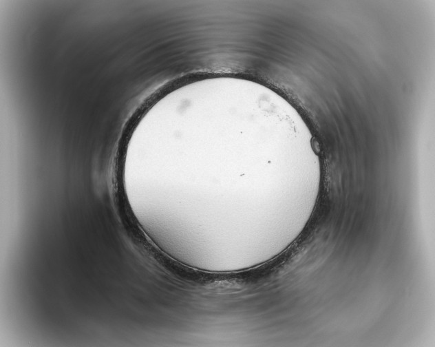 X0000093520536200711021048