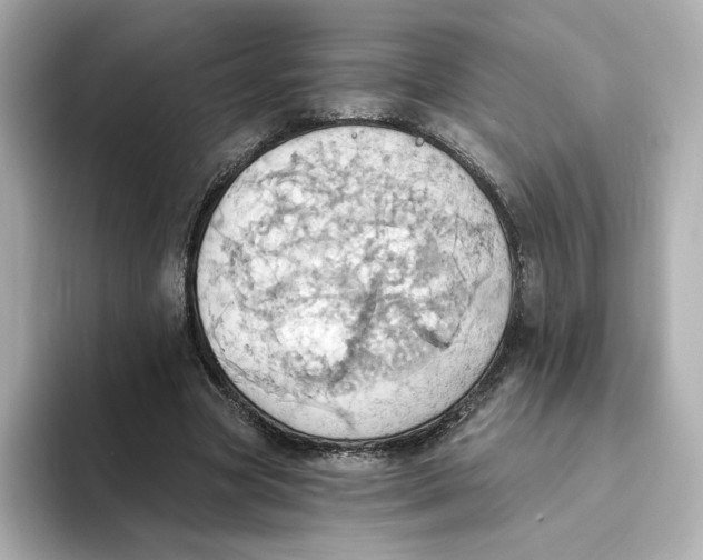 X0000093520537200711021048