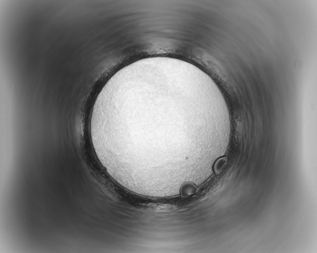 X0000093520539200711021048