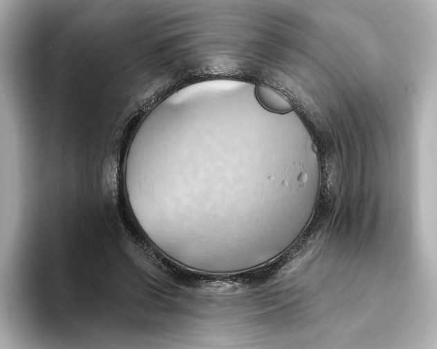 X0000093520542200711021048