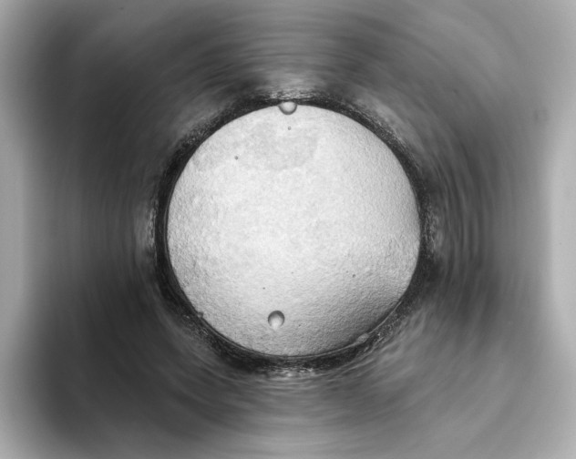 X0000093520543200711021048