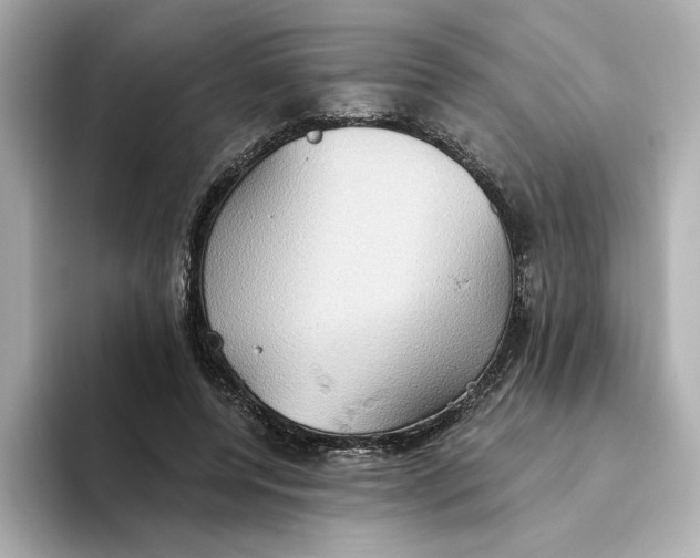 X0000093520544200711021048